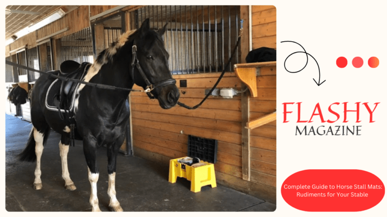 Complete Guide to Horse Stall Mats: Rudiments for Your Stable