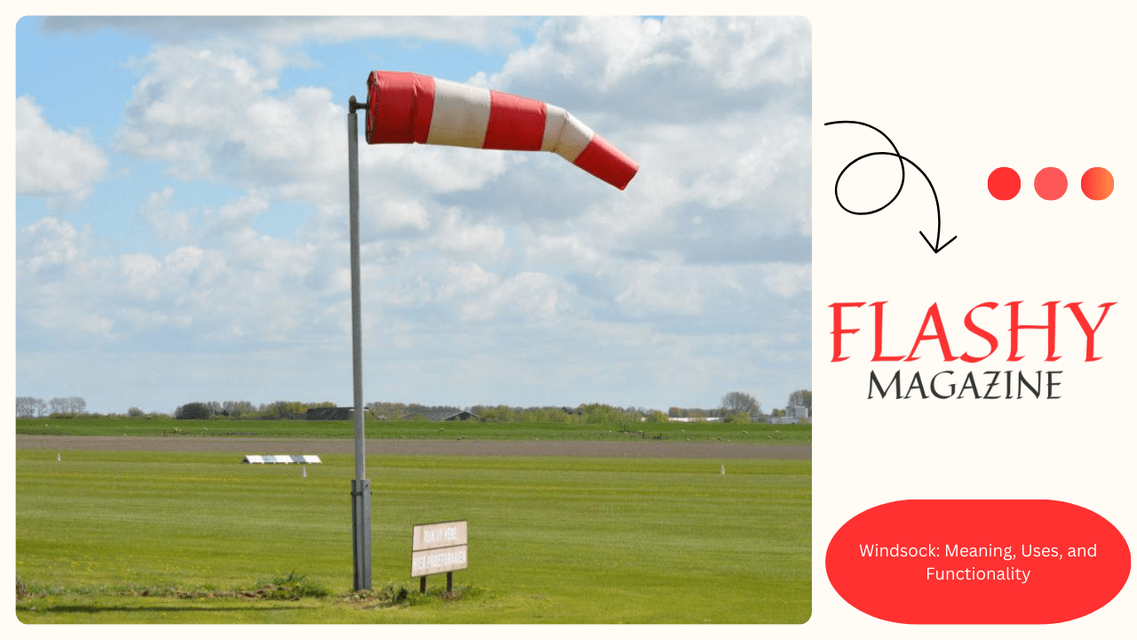 Windsock: Meaning, Uses, and Functionality